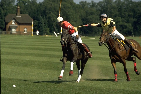 Original photo: Two polo players on horseback on a green field.